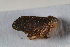  ( - BGE_00631_G09)  @11 [ ] CreativeCommons - Attribution Share - Alike (2025) Unspecified Unspecified