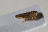  ( - BGE_00631_H01)  @11 [ ] CreativeCommons - Attribution Share - Alike (2025) Unspecified Unspecified