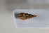  ( - BGE_00631_H02)  @11 [ ] CreativeCommons - Attribution Share - Alike (2025) Unspecified Unspecified