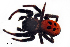  (Eresus walckenaeri - BGE_00635_H07)  @11 [ ] CreativeCommons - Attribution Share - Alike (2025) Unspecified Unspecified
