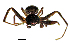  ( - BGE_00636_D06)  @11 [ ] CreativeCommons - Attribution Share - Alike (2025) Unspecified Unspecified