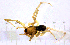  ( - BGE_00636_G05)  @11 [ ] CreativeCommons - Attribution Share - Alike (2025) Unspecified Unspecified