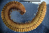  ( - BGE_00642_B08)  @11 [ ] CreativeCommons - Attribution Share - Alike (2025) Unspecified Unspecified