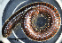  ( - BGE_00642_F12)  @11 [ ] CreativeCommons - Attribution Share - Alike (2127) Unspecified Unspecified