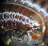  ( - BGE_00642_F12)  @11 [ ] CreativeCommons - Attribution Share - Alike (2129) Unspecified Unspecified
