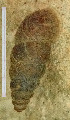  ( - BGE_00643_H07)  @11 [ ] CreativeCommons - Attribution Share - Alike (2025) Unspecified Unspecified
