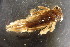  ( - BGE_00644_A08)  @11 [ ] CreativeCommons - Attribution Share - Alike (2025) Unspecified Unspecified