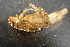  ( - BGE_00644_A08)  @11 [ ] CreativeCommons - Attribution Share - Alike (2025) Unspecified Unspecified