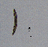  ( - BGE_00645_F03)  @11 [ ] CreativeCommons - Attribution Share - Alike (2025) Unspecified Unspecified