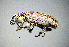  ( - BGE_00646_A02)  @11 [ ] CreativeCommons - Attribution Share - Alike (2025) Unspecified Unspecified