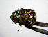  ( - BGE_00646_B10)  @11 [ ] CreativeCommons - Attribution Share - Alike (2025) Unspecified Unspecified