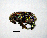  ( - BGE_00646_B10)  @11 [ ] CreativeCommons - Attribution Share - Alike (2025) Unspecified Unspecified