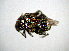  ( - BGE_00646_B11)  @11 [ ] CreativeCommons - Attribution Share - Alike (2025) Unspecified Unspecified