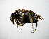 ( - BGE_00646_B11)  @11 [ ] CreativeCommons - Attribution Share - Alike (2025) Unspecified Unspecified