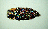  ( - BGE_00646_E11)  @11 [ ] CreativeCommons - Attribution Share - Alike (2025) Unspecified Unspecified
