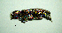  ( - BGE_00646_E11)  @11 [ ] CreativeCommons - Attribution Share - Alike (2025) Unspecified Unspecified