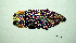  ( - BGE_00646_E12)  @11 [ ] CreativeCommons - Attribution Share - Alike (2025) Unspecified Unspecified