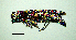  ( - BGE_00646_E12)  @11 [ ] CreativeCommons - Attribution Share - Alike (2025) Unspecified Unspecified