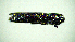  ( - BGE_00646_F04)  @11 [ ] CreativeCommons - Attribution Share - Alike (2025) Unspecified Unspecified