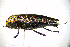  ( - BGE_00646_G10)  @11 [ ] CreativeCommons - Attribution Share - Alike (2025) Unspecified Unspecified