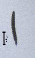  ( - BGE_00647_A03)  @11 [ ] CreativeCommons - Attribution Share - Alike (2025) Unspecified Unspecified