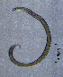  ( - BGE_00647_A06)  @11 [ ] CreativeCommons - Attribution Share - Alike (2025) Unspecified Unspecified