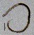  ( - BGE_00647_C03)  @11 [ ] CreativeCommons - Attribution Share - Alike (2025) Unspecified Unspecified