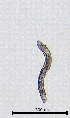  ( - BGE_00647_H03)  @11 [ ] CreativeCommons - Attribution Share - Alike (2025) Unspecified Unspecified