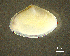  ( - BGE_00648_C03)  @11 [ ] CreativeCommons Attribution Non-Commercial (2024) Stefania Klayn Bulgarian Academy of Sciences, Institute of Biodiversity and Ecosystem Research