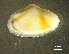  ( - BGE_00648_C04)  @11 [ ] CreativeCommons Attribution Non-Commercial (2024) Stefania Klayn Bulgarian Academy of Sciences, Institute of Biodiversity and Ecosystem Research
