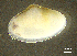  ( - BGE_00648_C05)  @11 [ ] CreativeCommons Attribution Non-Commercial (2024) Stefania Klayn Bulgarian Academy of Sciences, Institute of Biodiversity and Ecosystem Research