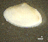  ( - BGE_00648_C06)  @11 [ ] CreativeCommons Attribution Non-Commercial (2024) Stefania Klayn Bulgarian Academy of Sciences, Institute of Biodiversity and Ecosystem Research