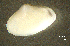  ( - BGE_00648_C07)  @11 [ ] CreativeCommons Attribution Non-Commercial (2024) Stefania Klayn Bulgarian Academy of Sciences, Institute of Biodiversity and Ecosystem Research