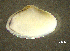  ( - BGE_00648_C08)  @11 [ ] CreativeCommons Attribution Non-Commercial (2024) Stefania Klayn Bulgarian Academy of Sciences, Institute of Biodiversity and Ecosystem Research