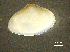  ( - BGE_00648_C09)  @11 [ ] CreativeCommons Attribution Non-Commercial (2024) Stefania Klayn Bulgarian Academy of Sciences, Institute of Biodiversity and Ecosystem Research