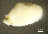  ( - BGE_00648_C10)  @11 [ ] CreativeCommons Attribution Non-Commercial (2024) Stefania Klayn Bulgarian Academy of Sciences, Institute of Biodiversity and Ecosystem Research