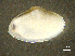  ( - BGE_00648_D04)  @11 [ ] CreativeCommons Attribution Non-Commercial (2024) Stefania Klayn Bulgarian Academy of Sciences, Institute of Biodiversity and Ecosystem Research