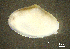  ( - BGE_00648_D05)  @11 [ ] CreativeCommons Attribution Non-Commercial (2024) Stefania Klayn Bulgarian Academy of Sciences, Institute of Biodiversity and Ecosystem Research
