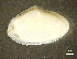  ( - BGE_00648_D07)  @11 [ ] CreativeCommons Attribution Non-Commercial (2024) Stefania Klayn Bulgarian Academy of Sciences, Institute of Biodiversity and Ecosystem Research