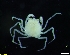  ( - MEGW3_SR)  @11 [ ] CreativeCommons  Attribution Non-Commercial Share-Alike (2020) SAIAB SAIAB