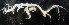  ( - UNMdP-ZINV-004)  @11 [ ] CreativeCommons - Attribution Non-Commercial Share-Alike (2012) Unspecified Laboratorio de Zoología de Invertebrados