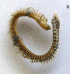  (Kinbergonuphis - UNMdP-ZINV-128)  @11 [ ] CreativeCommons - Attribution Non-Commercial Share-Alike (2014) Unspecified Laboratorio de Zoología de Invertebrados