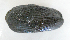  ( - UNMdP-ZINV-196)  @11 [ ] CreativeCommons - Attribution Non-Commercial Share-Alike (2014) Unspecified Laboratorio de Zoología de Invertebrados
