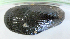 ( - UNMdP-ZINV-197)  @11 [ ] CreativeCommons - Attribution Non-Commercial Share-Alike (2014) Unspecified Laboratorio de Zoología de Invertebrados