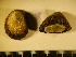  ( - Bigatti_p2-96)  @12 [ ] No Rights Reserved (2013) Unspecified Unspecified