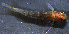  ( - RUNA_3155)  @11 [ ] Copyright (c) (2021) Bruggeman & Guillaume UMR ENTROPIE