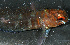  ( - RUNA_3214)  @11 [ ] Copyright (c) (2021) Bruggeman & Guillaume UMR ENTROPIE