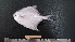  ( - PM-20120513)  @11 [ ] Copyright (2021) Jiehong Wei Chinese Academy of Sciences, Institute of Oceanology
