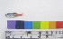  ( - OM 85)  @12 [ ] Unspecified (default): All Rights Reserved  Unspecified Unspecified