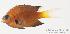  ( - MBIO1224)  @12 [ ] No Rights Reserved  Unspecified Unspecified